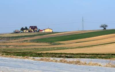 Krzywa droga w Nowej Hucie. Wiosenne prace ruszyły pełną parą - zdjęcie 16