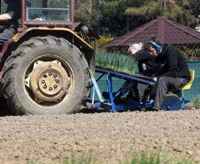 Krzywa droga w Nowej Hucie. Wiosenne prace ruszyły pełną parą - zdjęcie 12