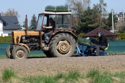 Krzywa droga w Nowej Hucie. Wiosenne prace ruszyły pełną parą - zdjęcie 13