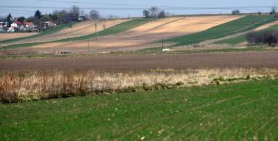 Krzywa droga w Nowej Hucie. Wiosenne prace ruszyły pełną parą - zdjęcie 10