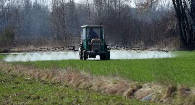 Krzywa droga w Nowej Hucie. Wiosenne prace ruszyły pełną parą - zdjęcie 11