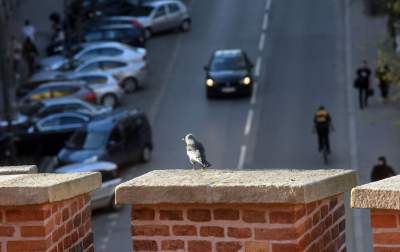 Wiosna i plażowanie na bulwarach, tak było jeszcze w czwartek... - zdjęcie 19