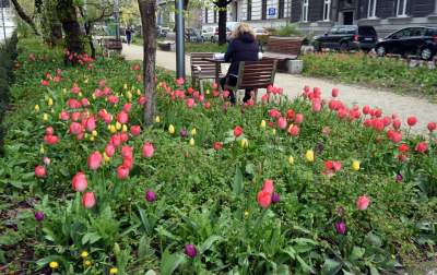 Wiosna na jednym z najważniejszych dziś skwerów w Krakowie - zdjęcie 5