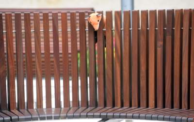 Skwer Wolnej Ukrainy. Posprzątamy dopiero po wojnie - zdjęcie 13