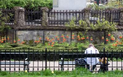 Drzewoterapia na rozkwitających wiosną Plantach. Na skołatane nerwy... - zdjęcie 24