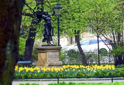 Drzewoterapia na rozkwitających wiosną Plantach. Na skołatane nerwy... - zdjęcie 14