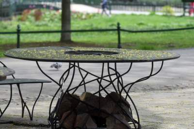 Drzewoterapia na rozkwitających wiosną Plantach. Na skołatane nerwy... - zdjęcie 15