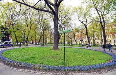 Drzewoterapia na rozkwitających wiosną Plantach. Na skołatane nerwy... - zdjęcie 22