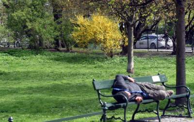 Drzewoterapia na rozkwitających wiosną Plantach. Na skołatane nerwy... - zdjęcie 13