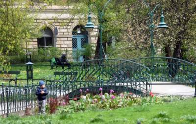 Drzewoterapia na rozkwitających wiosną Plantach. Na skołatane nerwy... - zdjęcie 17