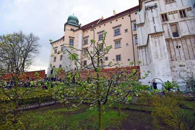 Smoczy Ogród na Wawelu, a w nim wystawa rzeźb Bronisława Chromego - zdjęcie 19