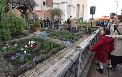 Smoczy Ogród na Wawelu, a w nim wystawa rzeźb Bronisława Chromego - zdjęcie 23