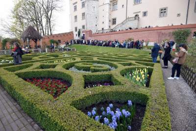 Smoczy Ogród na Wawelu, a w nim wystawa rzeźb Bronisława Chromego - zdjęcie 4