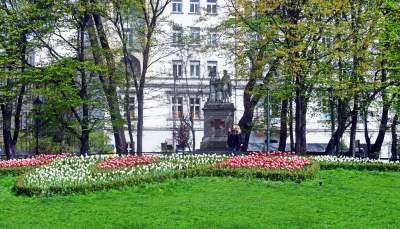 Tulipany "Agata Kornhauser-Duda" do Krakowa jeszcze nie dotarły... - zdjęcie 12