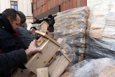 Szturm na magistrat. Każdy chciał to dostać - zdjęcie 7