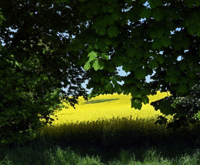 Takie widoki coraz bliżej Krakowa, miasto wdziera się w ten pejzaż - zdjęcie 7