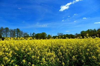 Takie widoki coraz bliżej Krakowa, miasto wdziera się w ten pejzaż - zdjęcie 6