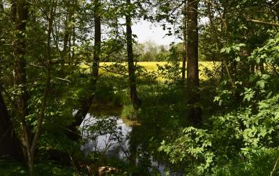 Takie widoki coraz bliżej Krakowa, miasto wdziera się w ten pejzaż - zdjęcie 16