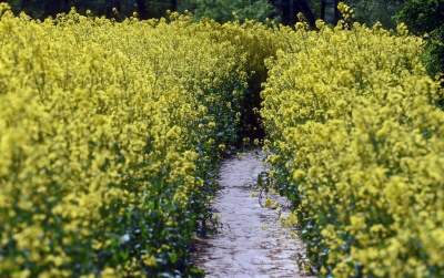 Takie widoki coraz bliżej Krakowa, miasto wdziera się w ten pejzaż - zdjęcie 12