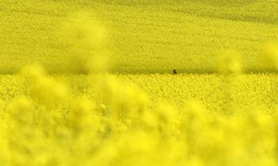 Takie widoki coraz bliżej Krakowa, miasto wdziera się w ten pejzaż - zdjęcie 21