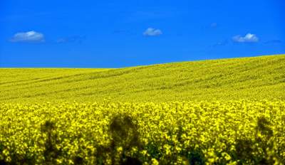 Takie widoki coraz bliżej Krakowa, miasto wdziera się w ten pejzaż - zdjęcie 8