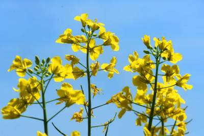 Takie widoki coraz bliżej Krakowa, miasto wdziera się w ten pejzaż - zdjęcie 13