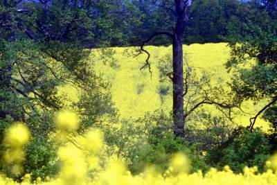 Takie widoki coraz bliżej Krakowa, miasto wdziera się w ten pejzaż - zdjęcie 4