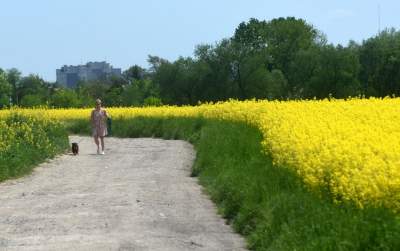 Takie widoki coraz bliżej Krakowa, miasto wdziera się w ten pejzaż - zdjęcie 22