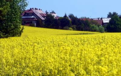 Takie widoki coraz bliżej Krakowa, miasto wdziera się w ten pejzaż - zdjęcie 9