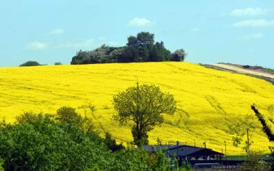 Takie widoki coraz bliżej Krakowa, miasto wdziera się w ten pejzaż - zdjęcie 1