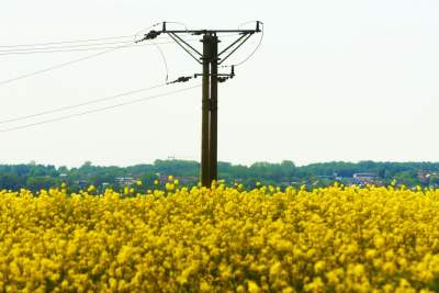 Takie widoki coraz bliżej Krakowa, miasto wdziera się w ten pejzaż - zdjęcie 23