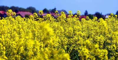 Takie widoki coraz bliżej Krakowa, miasto wdziera się w ten pejzaż - zdjęcie 19