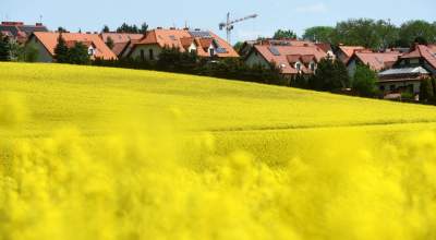 Takie widoki coraz bliżej Krakowa, miasto wdziera się w ten pejzaż - zdjęcie 18