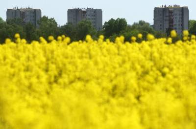 Takie widoki coraz bliżej Krakowa, miasto wdziera się w ten pejzaż - zdjęcie 11