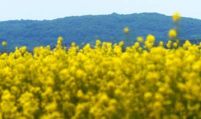Takie widoki coraz bliżej Krakowa, miasto wdziera się w ten pejzaż - zdjęcie 24