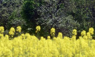 Takie widoki coraz bliżej Krakowa, miasto wdziera się w ten pejzaż - zdjęcie 5