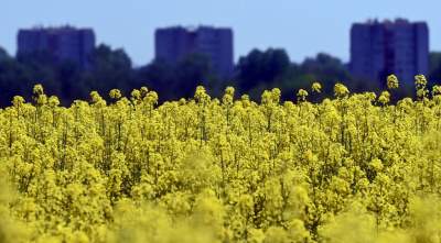 Takie widoki coraz bliżej Krakowa, miasto wdziera się w ten pejzaż - zdjęcie 10