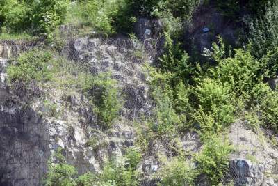 Śródziemnomorski krajobraz w Krakowie, fot. Marek Lasyk - zdjęcie 32