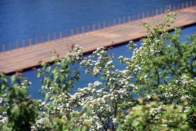 Śródziemnomorski krajobraz w Krakowie, fot. Marek Lasyk - zdjęcie 9