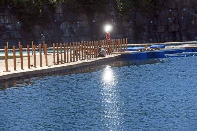 Śródziemnomorski krajobraz w Krakowie, fot. Marek Lasyk - zdjęcie 14