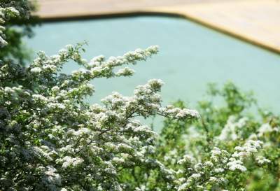 Śródziemnomorski krajobraz w Krakowie, fot. Marek Lasyk - zdjęcie 8