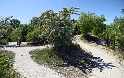 Śródziemnomorski krajobraz w Krakowie, fot. Marek Lasyk - zdjęcie 36