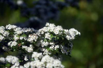 Nadal szukają tu dzikiego Zakrzówka. Oficjalnie wstęp wzbroniony - zdjęcie 13