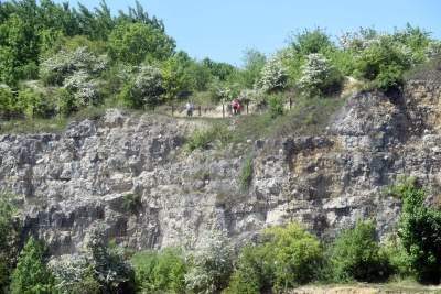 Nadal szukają tu dzikiego Zakrzówka. Oficjalnie wstęp wzbroniony - zdjęcie 30