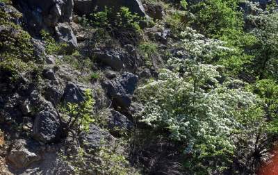 Nadal szukają tu dzikiego Zakrzówka. Oficjalnie wstęp wzbroniony - zdjęcie 22