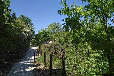 Nadal szukają tu dzikiego Zakrzówka. Oficjalnie wstęp wzbroniony - zdjęcie 9