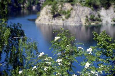Nadal szukają tu dzikiego Zakrzówka. Oficjalnie wstęp wzbroniony - zdjęcie 14
