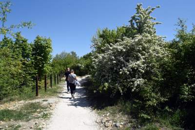 Nadal szukają tu dzikiego Zakrzówka. Oficjalnie wstęp wzbroniony - zdjęcie 16