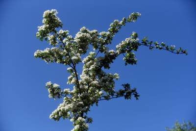 Nadal szukają tu dzikiego Zakrzówka. Oficjalnie wstęp wzbroniony - zdjęcie 15