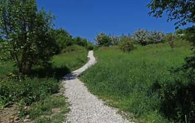 Nadal szukają tu dzikiego Zakrzówka. Oficjalnie wstęp wzbroniony - zdjęcie 29